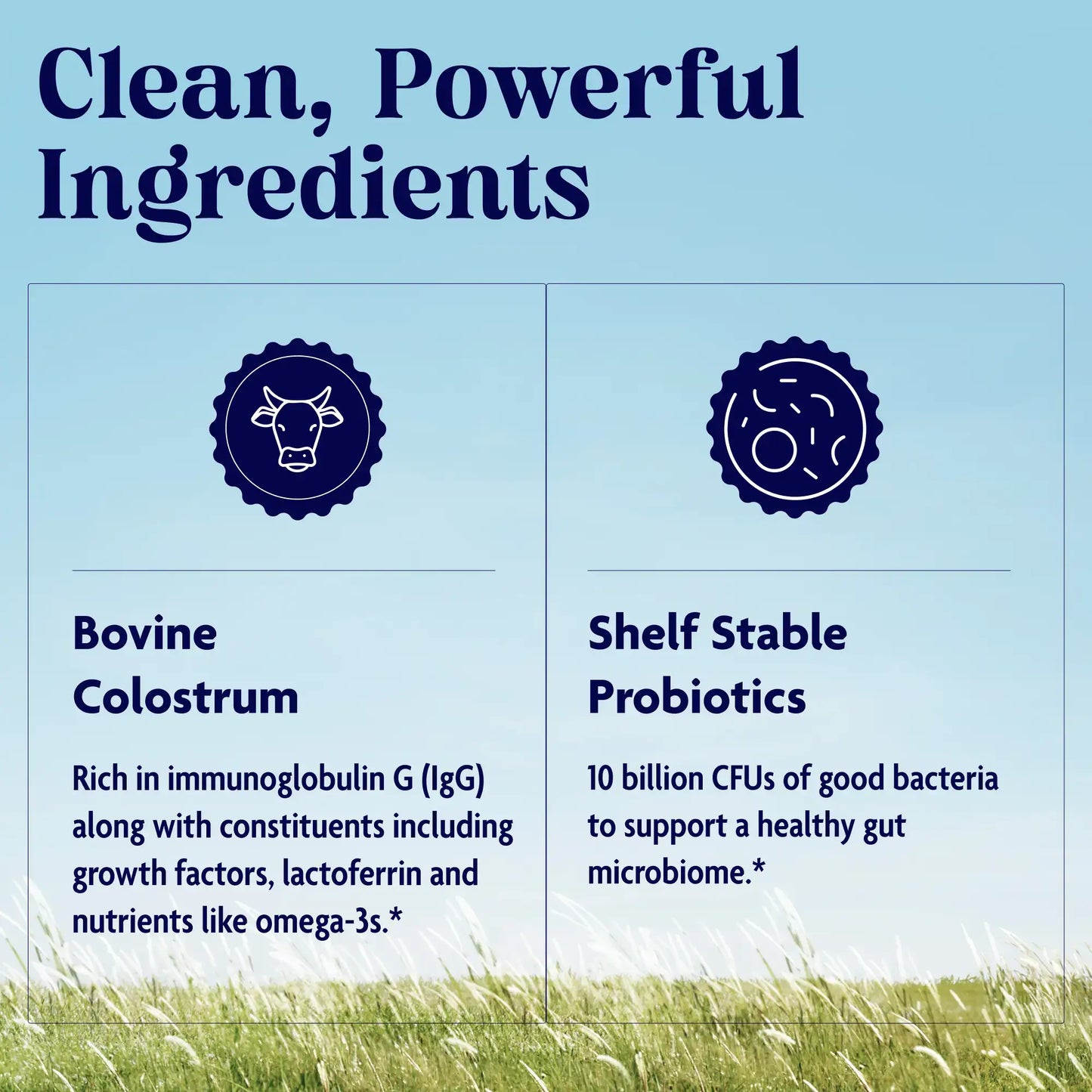 Clean, powerful ingredients in Colostrum + Probiotics.