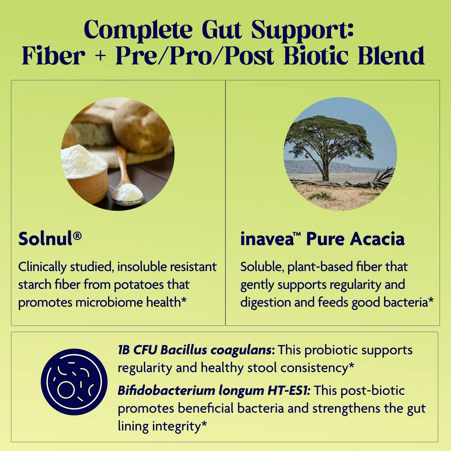 Lets Go Fiber Strawberry Kiwi Complete Gut Support: Fiber + Pre/Pro/Post Biotic Blend.