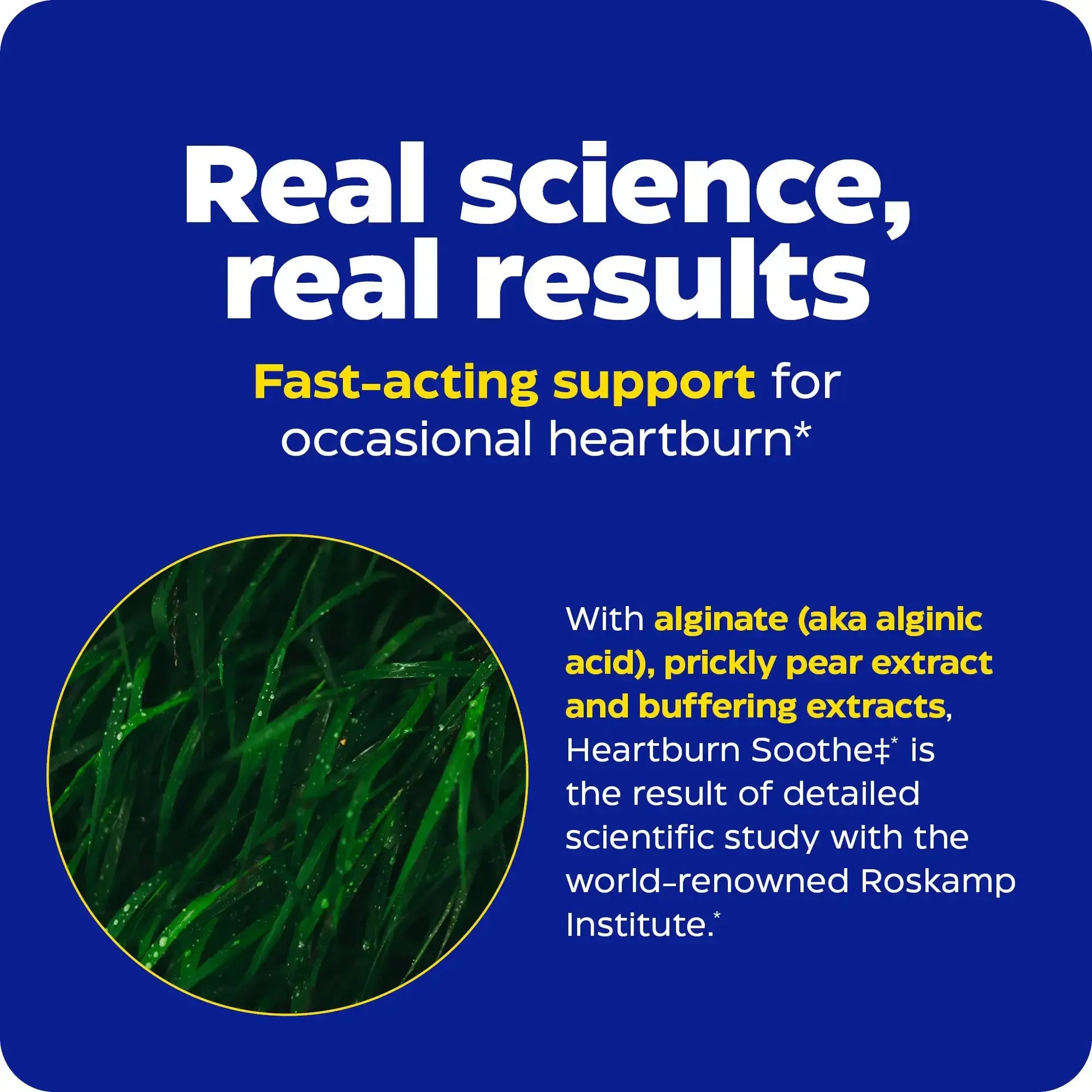 This image shows the real science and real results of Heartburn Soothe Chewable.