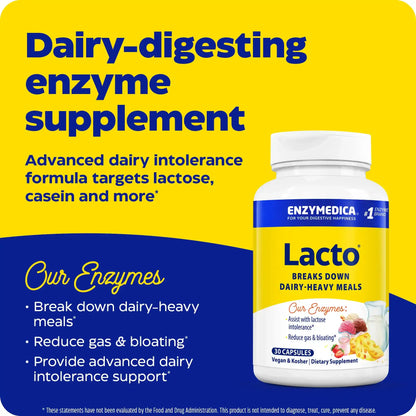 This image shows an infographic for Lacto.