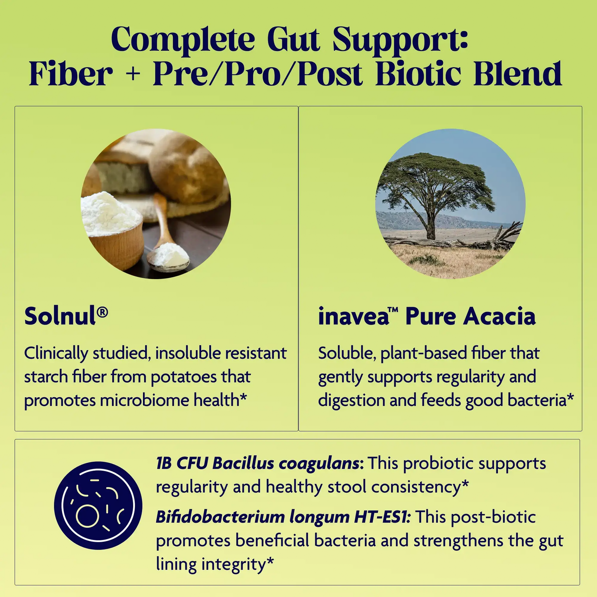 Lets Go Fiber Strawberry Kiwi Complete Gut Support: Fiber + Pre/Pro/Post Biotic Blend.